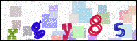 Image Verification